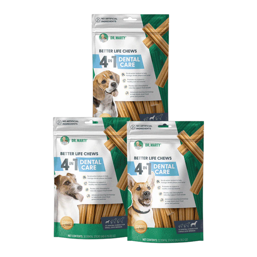 do i need to feed my dog dr marty's food Dr Marty Natures Blend Freeze-Dried Raw Dog Food- Small Bites 6oz  Poudre  Pet and Feed Supply